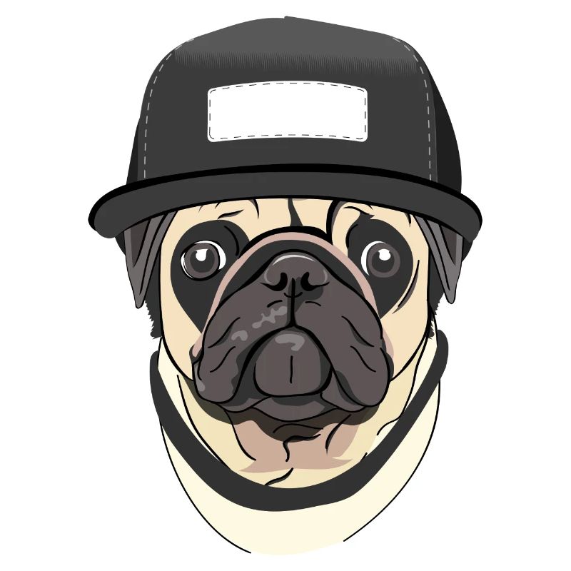 Mops mit Snap back cap