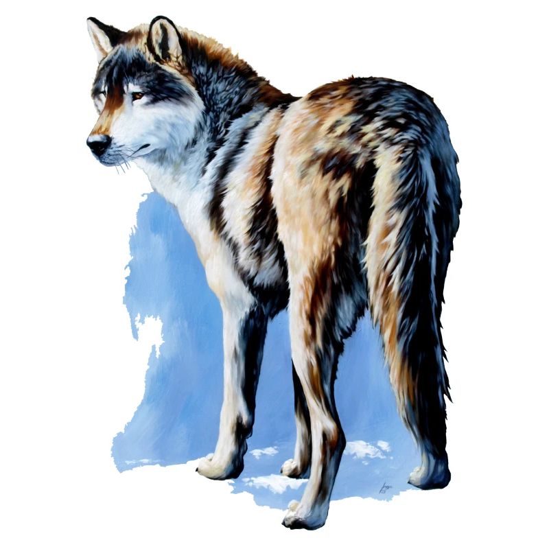 Wolfsblick
