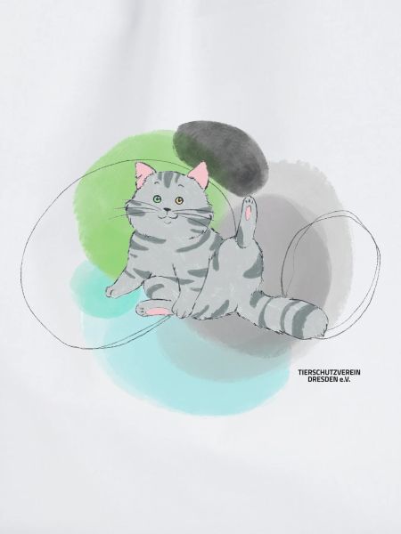 🐾 Grau getigerte Katze🐱Grün Blau