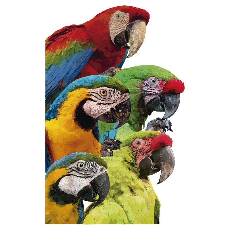 Macaws