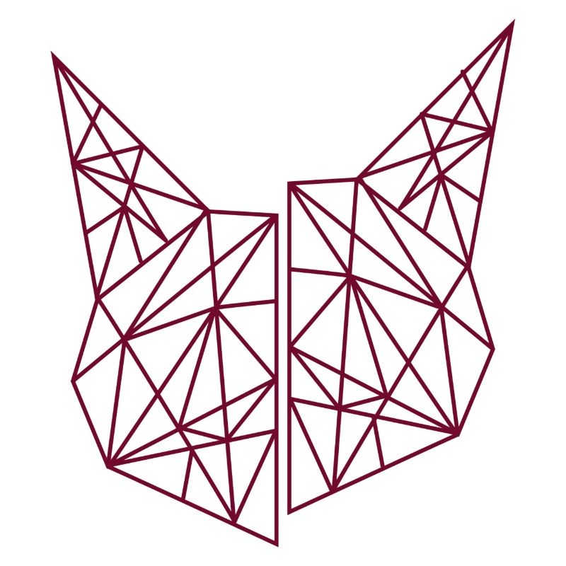Geometry Cat