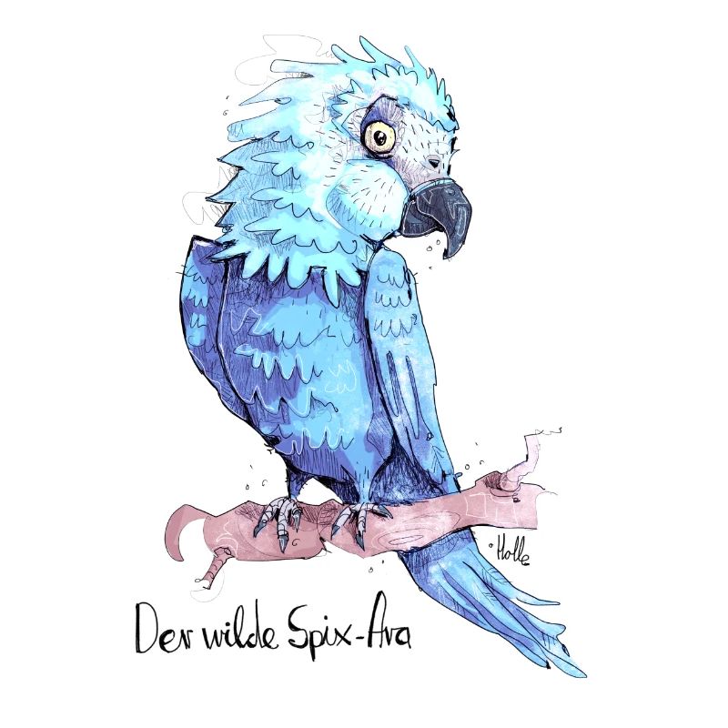 Spix-Ara