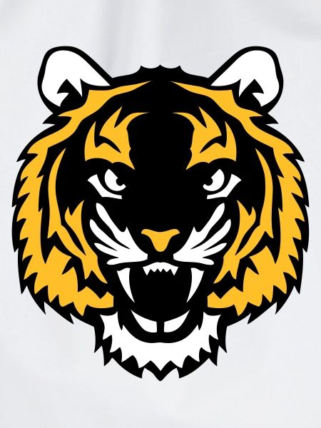 tiger wild animal 28012