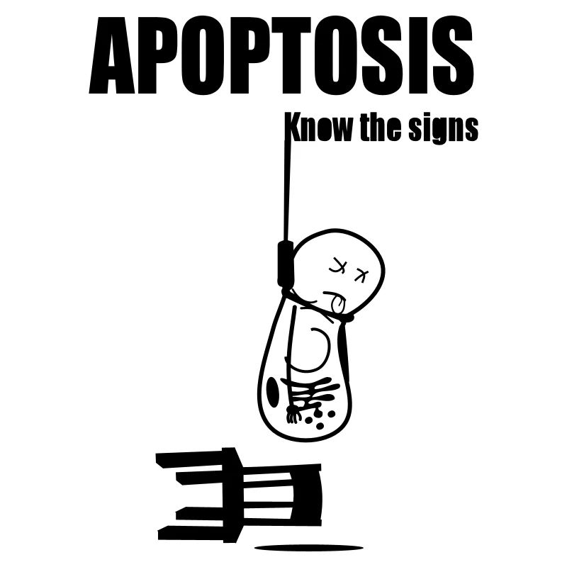Apoptosis