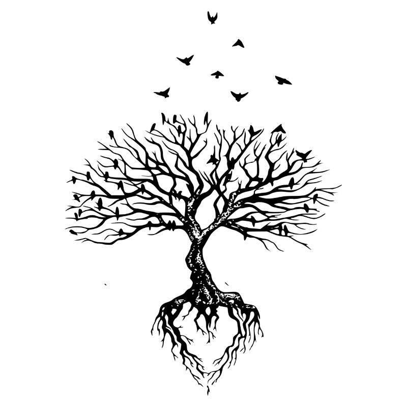Baum
