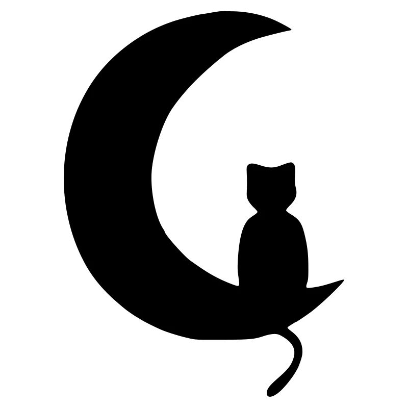 Cat & Moon