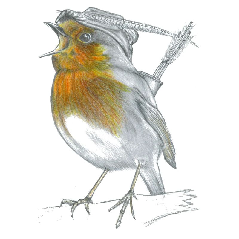 Rotkehlchen Robin Hood