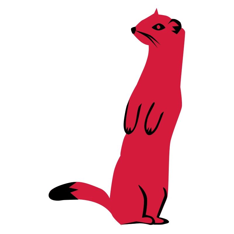 Weasel - Ermine
