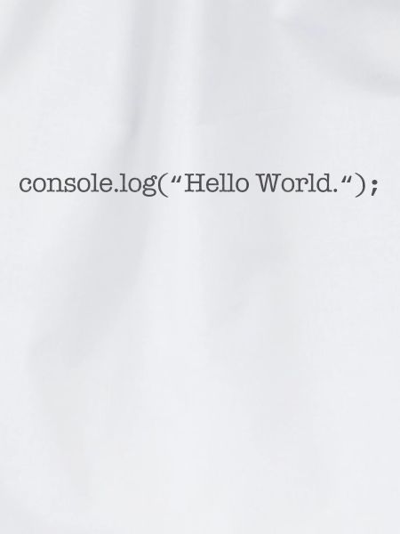 Javascript Developer Geek