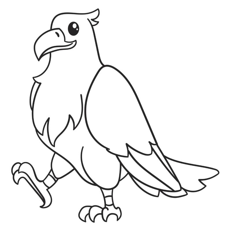 Adler, Raubvogel, Geschenk, Geschenkidee