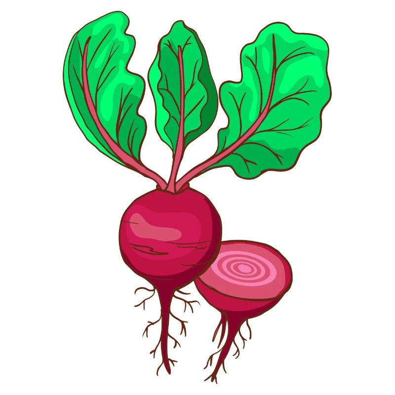 Beetroot Beet Bete