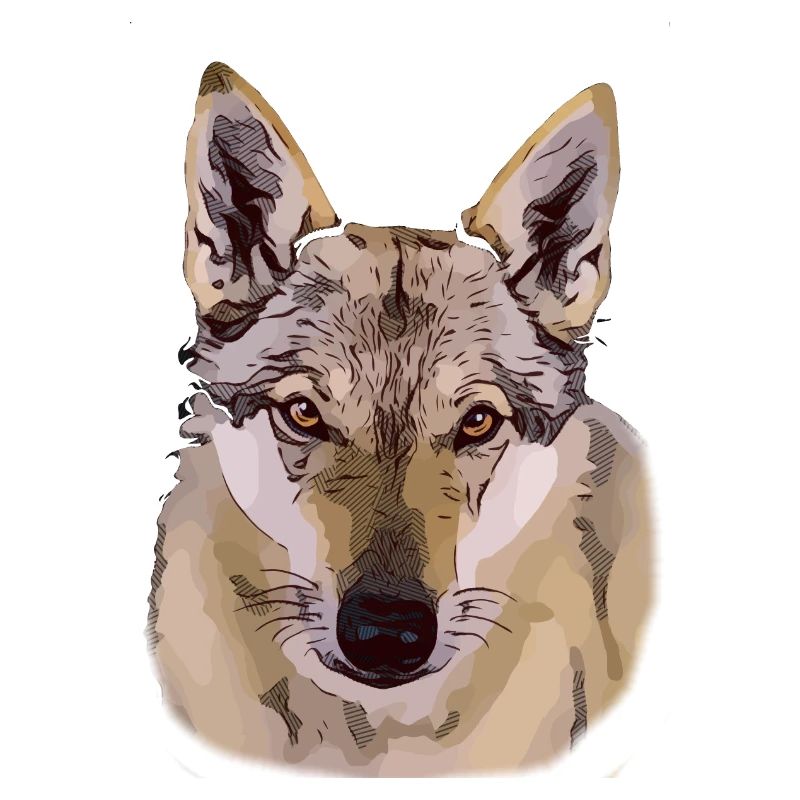 Tschechoslowakischer Wolfhund Comic Style