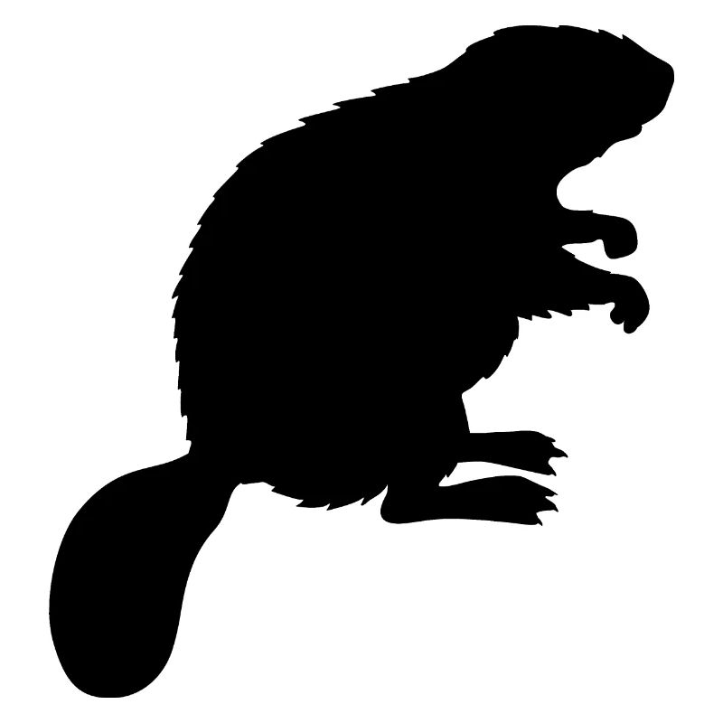 beaver