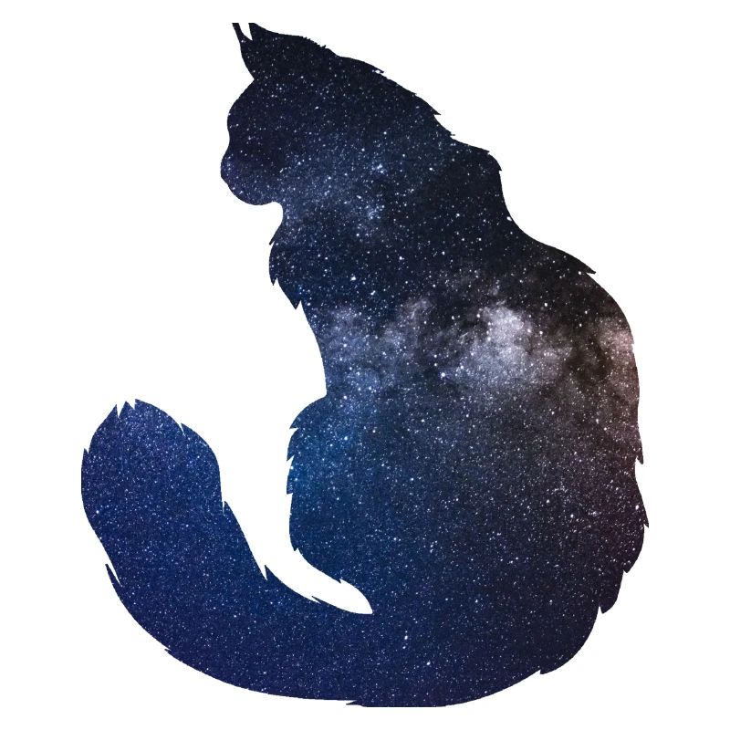 Catspace