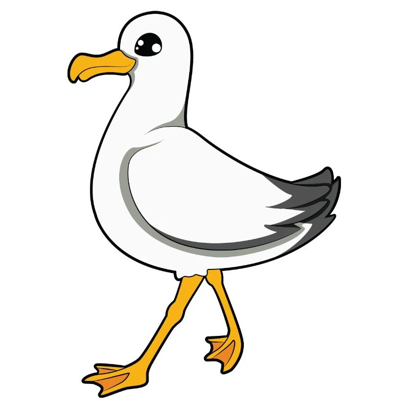 Möwe