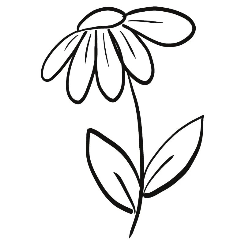 Blume Blümchen süß Freundin Geschenk Idee Sommer