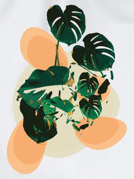 Monstera Flavour