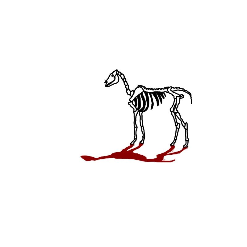 Pferd mit Schatten