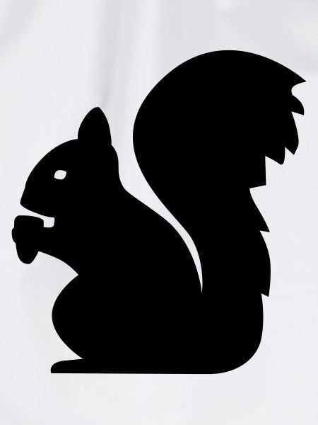 Eichhörnchen