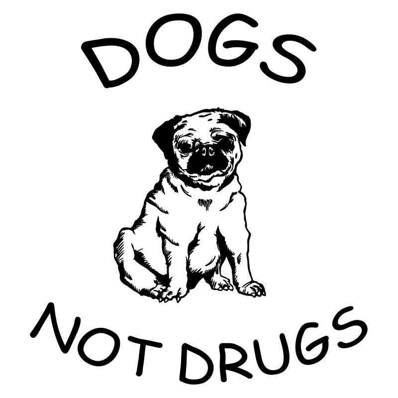 chiens pas de drogues