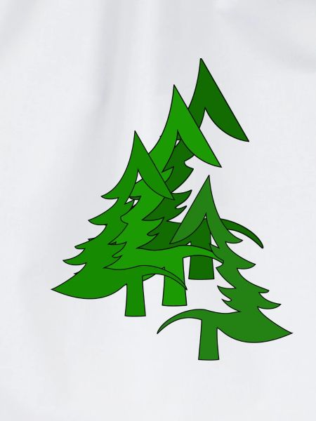 Tannenwald, Wald, Tannen