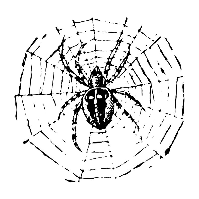 Kreuzspinne