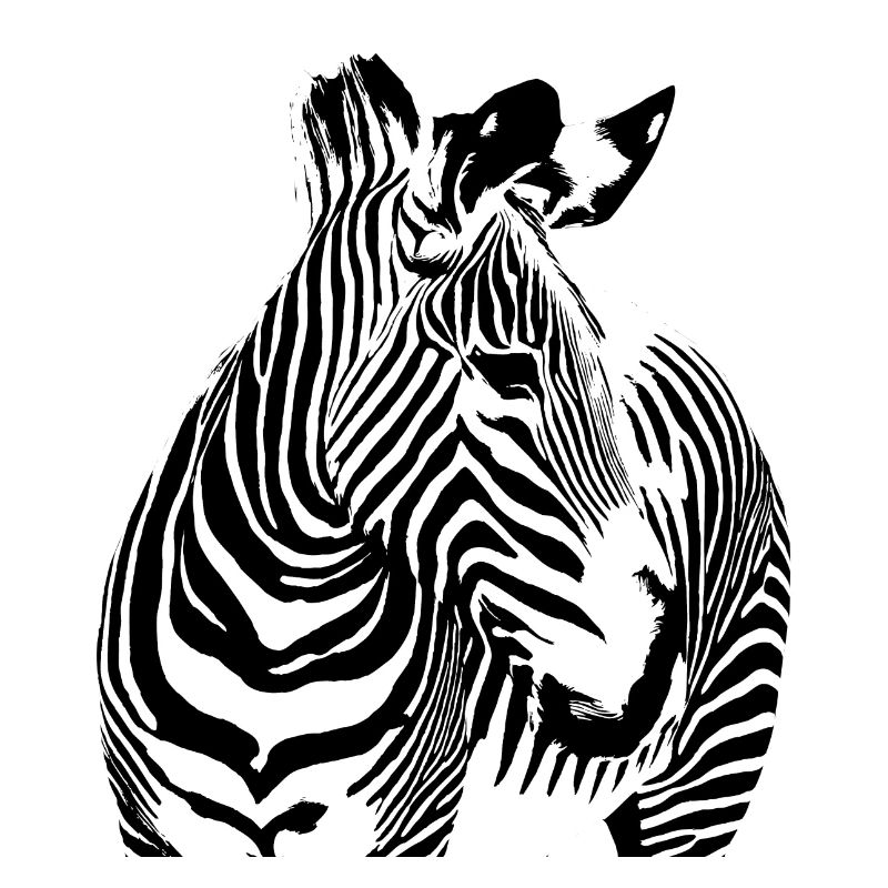 Zebra 2