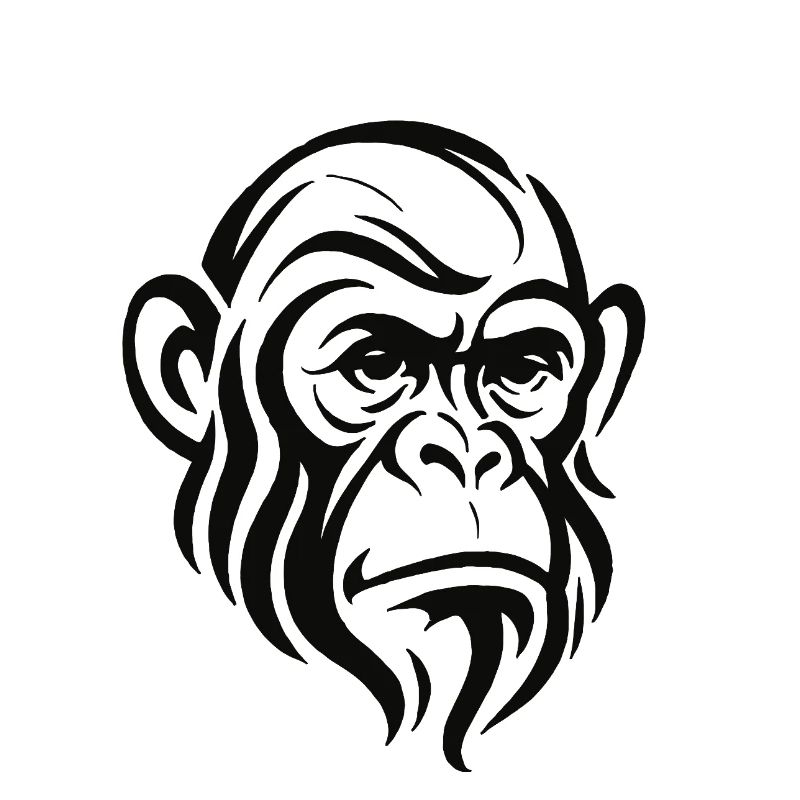 Chimpanzee Face