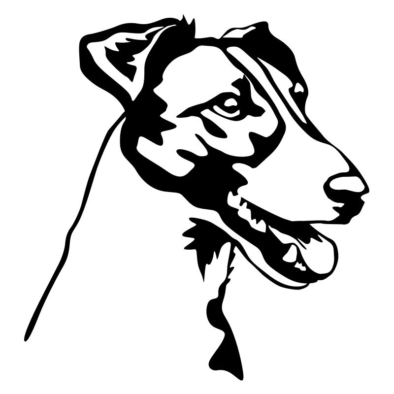 Fox terrier head