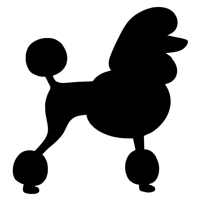 poodle