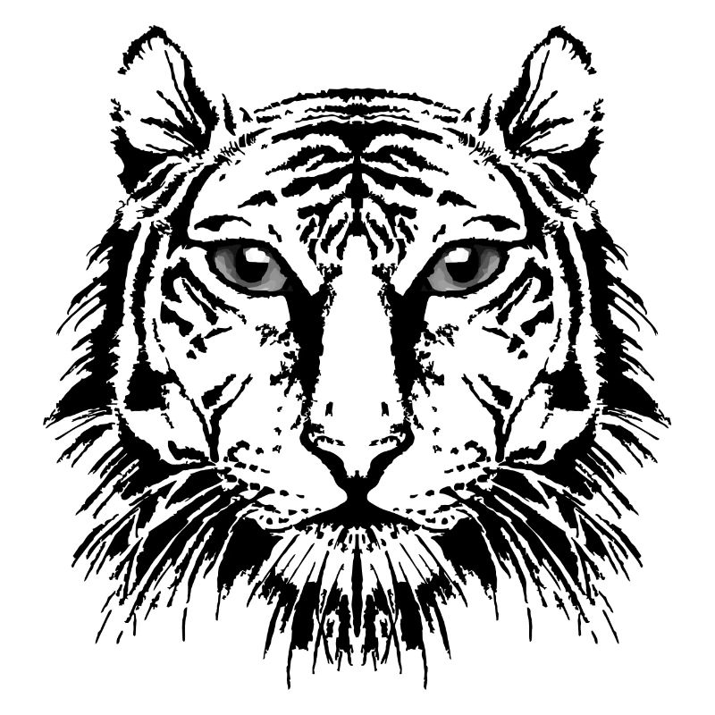 Tigre