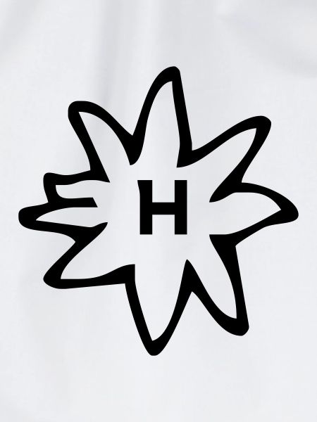 Haflinger