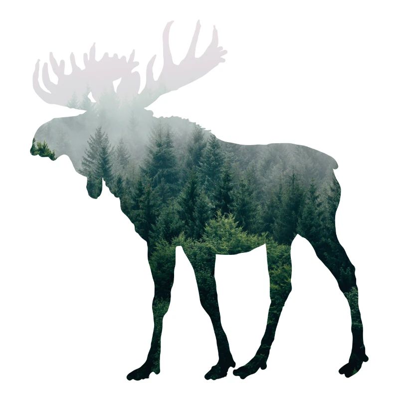 Moose