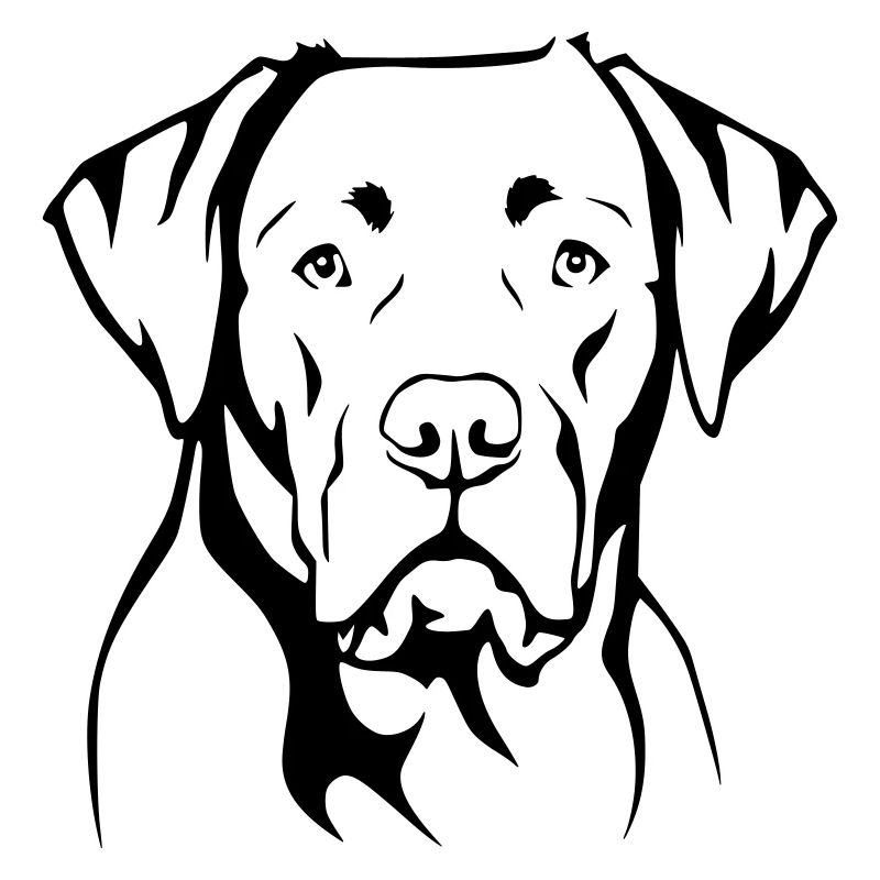 Labrador