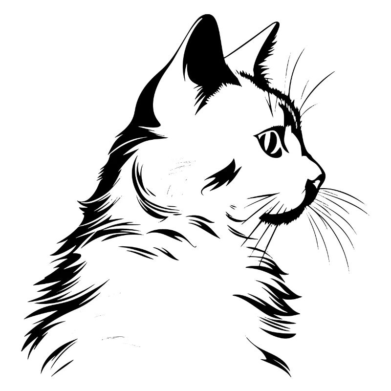 Chat, Motif De Chat