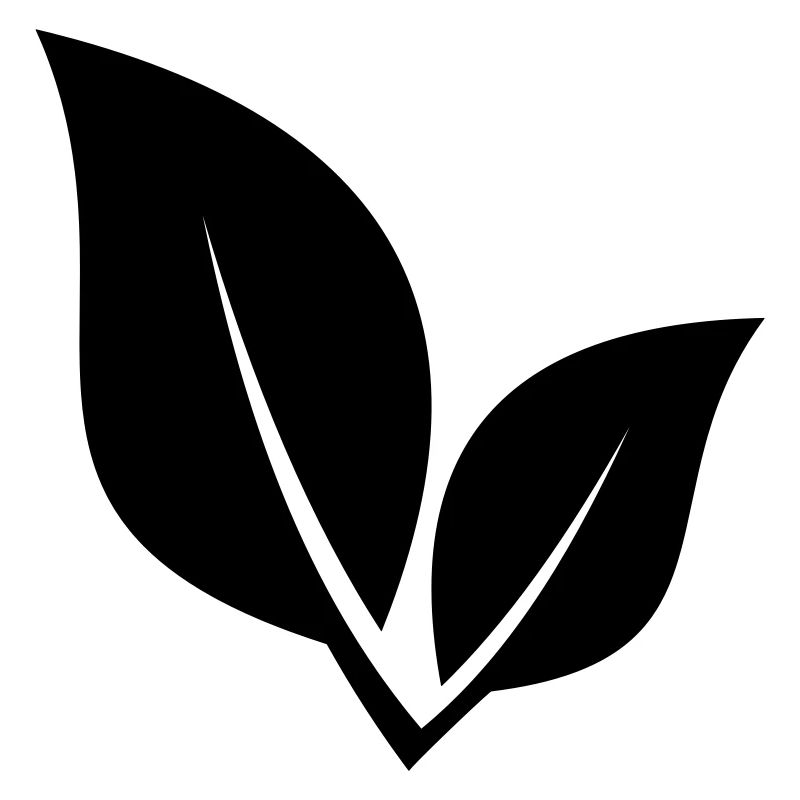 leaf 27