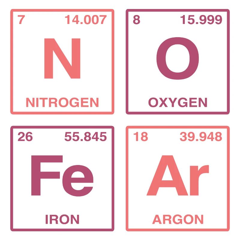 NO FEAR - with elements of the perdiode system