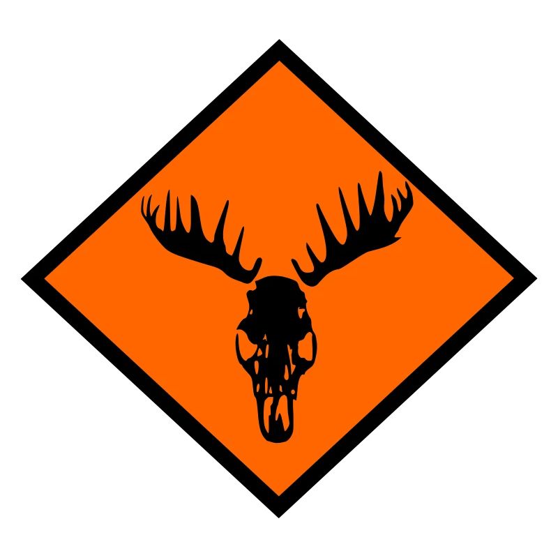 Moose Skull