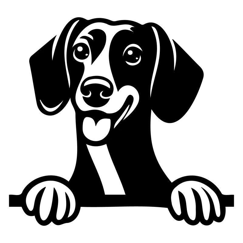 Dachshund