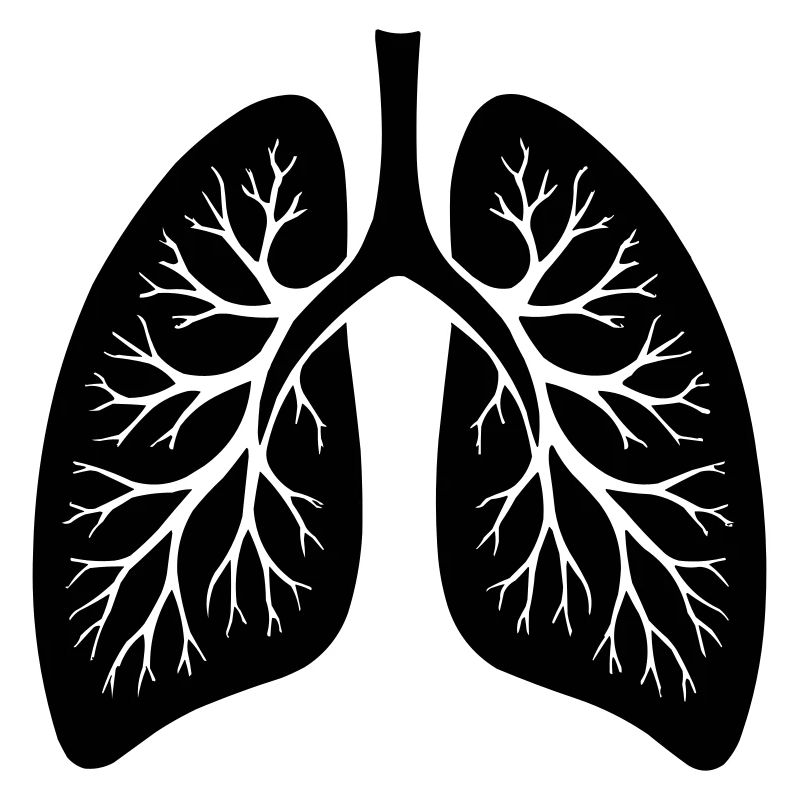 lung