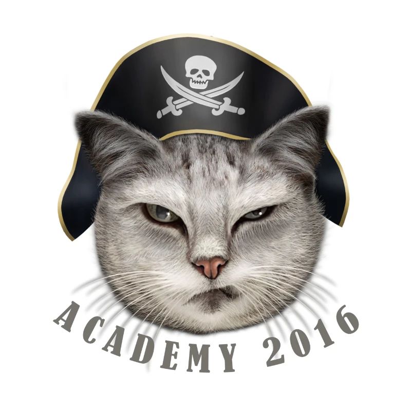 THE PIRATE CAT ACADEMY