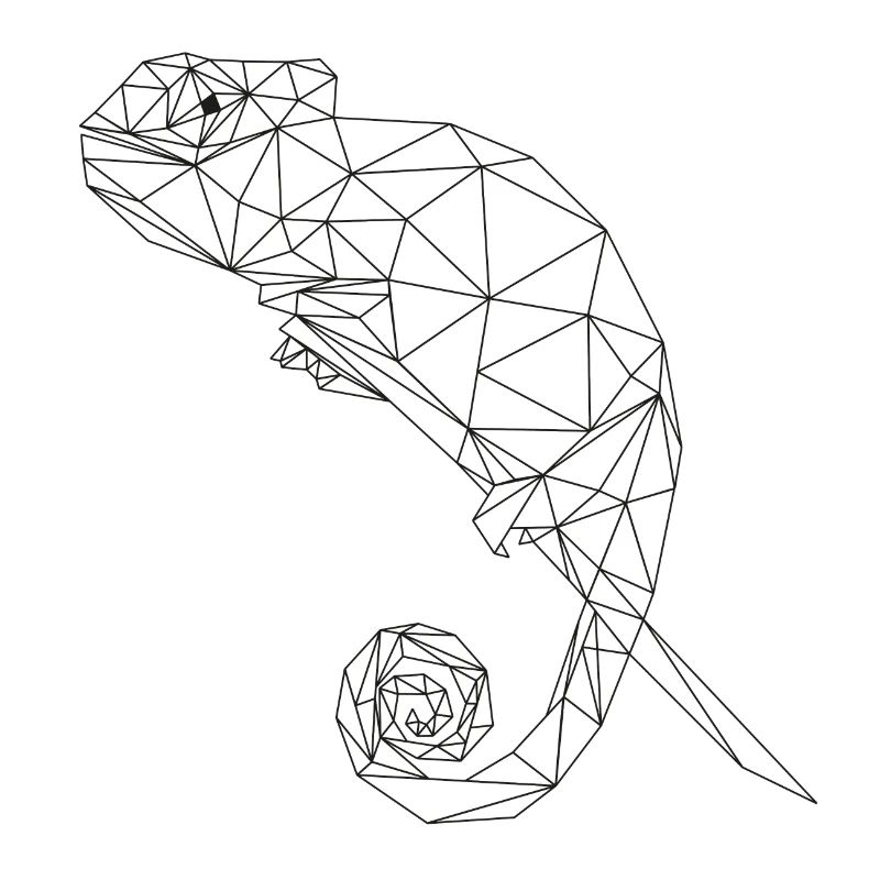 Chamäleon Chamaeleon Cham