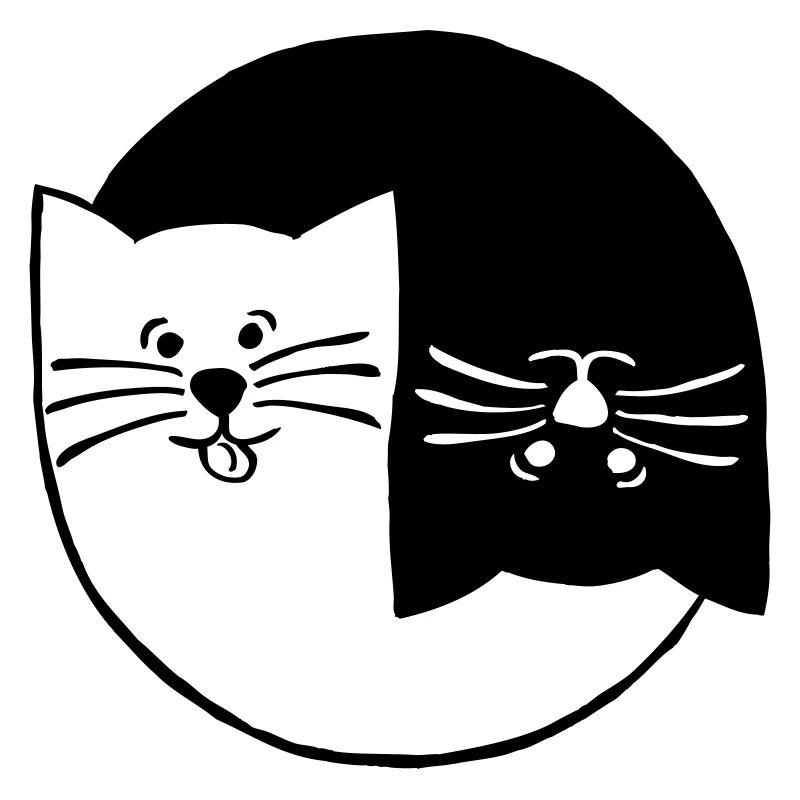White cat / black cat