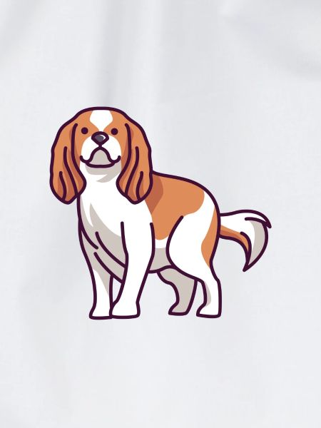 Cavalier King Charles Spaniel