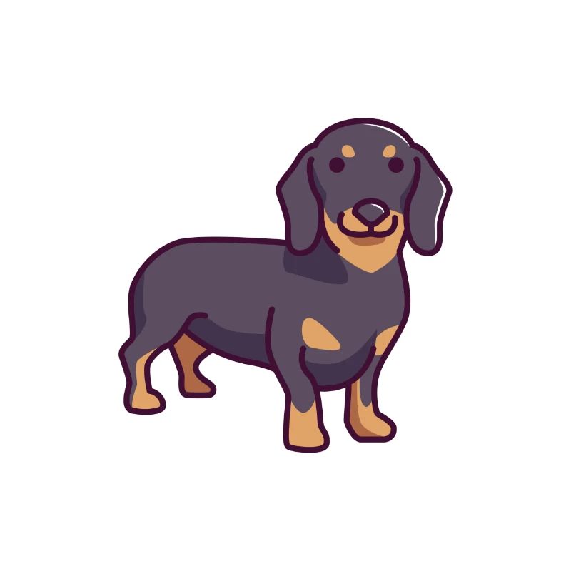 Dachshund