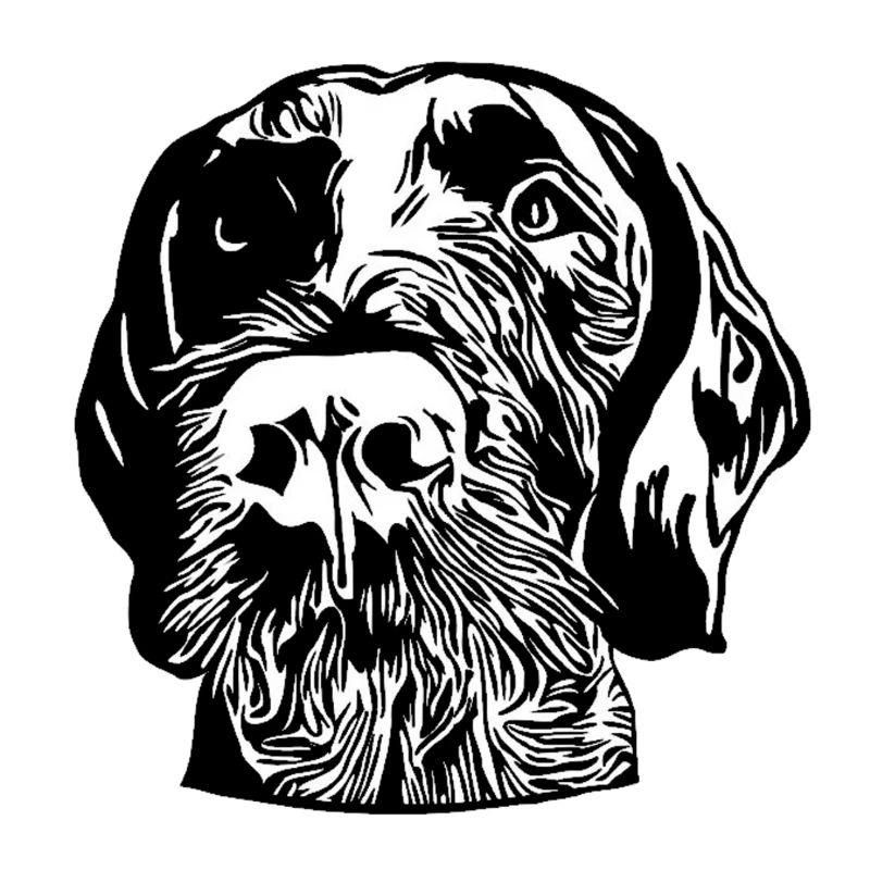 German Wirehaired Pointer