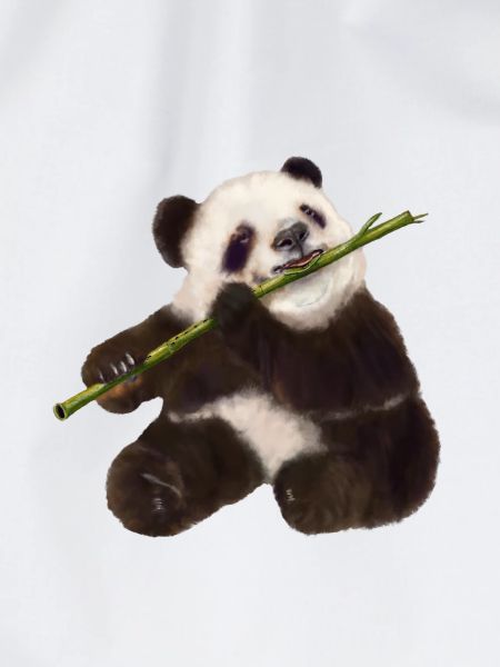 Paddy Panda