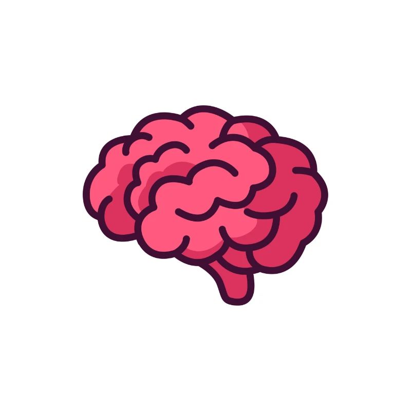 brain