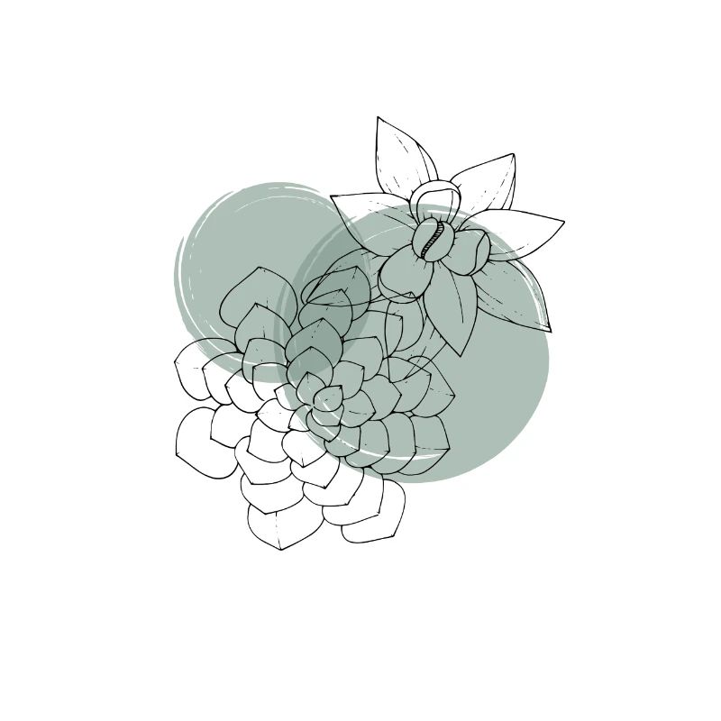 Pasiora - Pure succulents