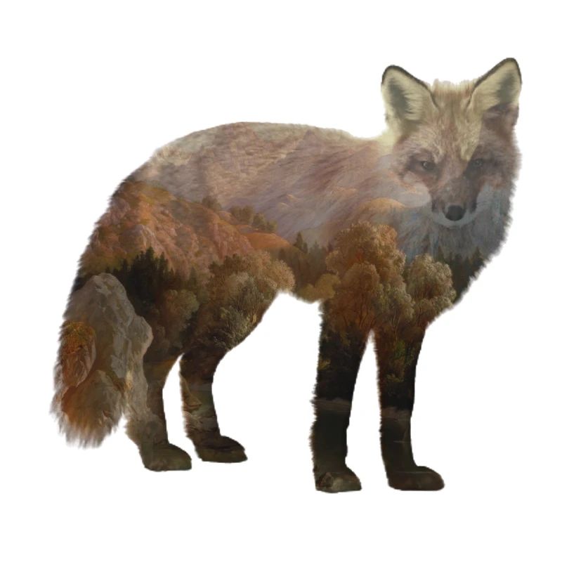 Fuchs